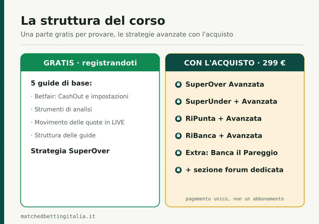 Struttura del corso NinjaTrading: 5 guide gratuite più la strategia SuperOver gratuita, e le strategie avanzate SuperUnder, RiPunta, RiBanca con le versioni avanzate e l'extra Banca il Pareggio, sbloccabili con l'acquisto